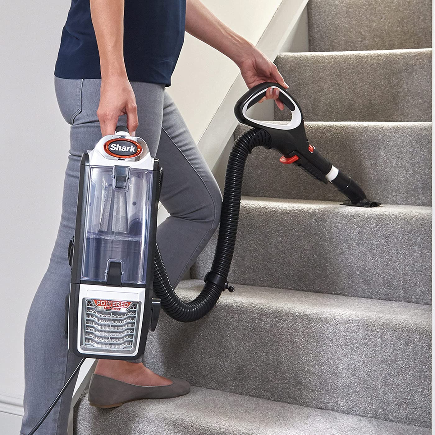 Shark Nz801eu, Standstaubsauger, Anthrazit, Weiß & Orange, 750 W, 1.1 liters, 80 Dezibel